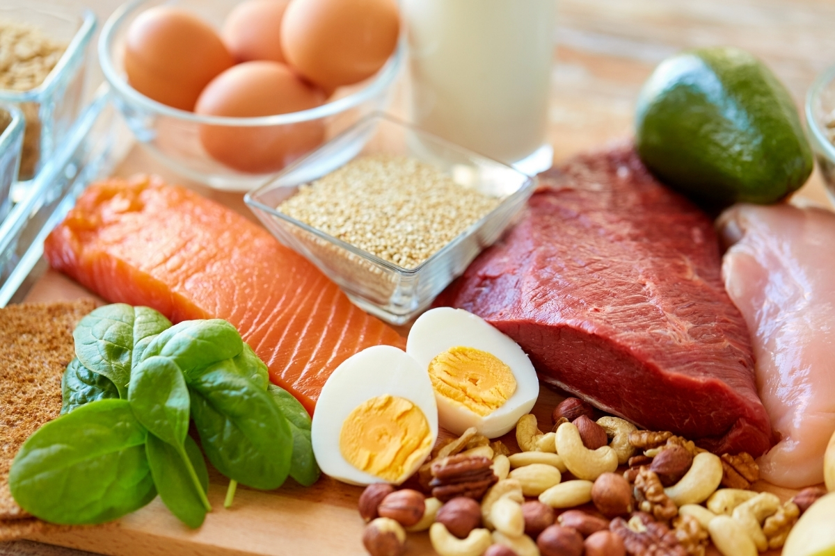 Tierisches Protein